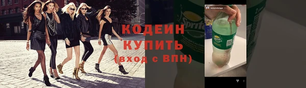твердый Вяземский