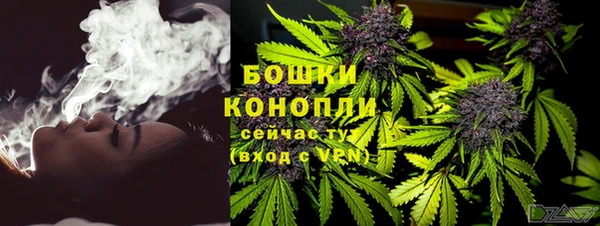 твердый Вяземский