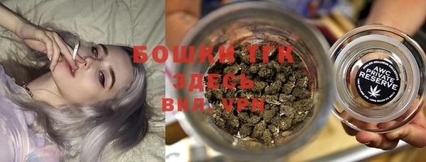 твердый Вяземский