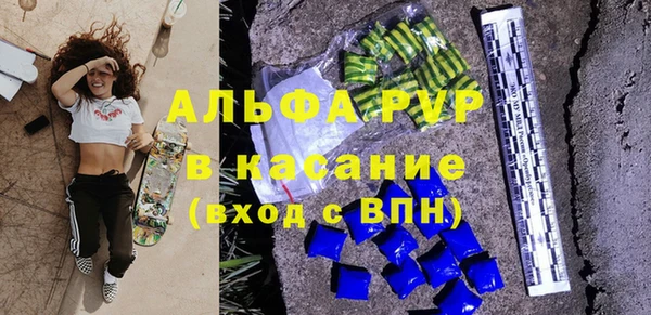 твердый Вяземский