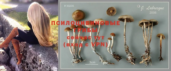 твердый Вяземский