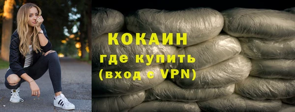 твердый Вяземский