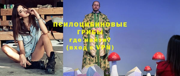 твердый Вяземский