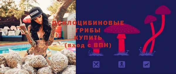 твердый Вяземский